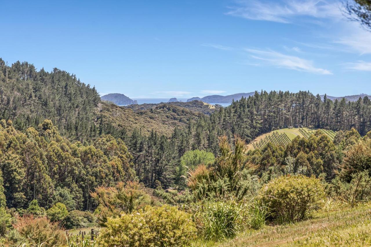 Paroa Bay Chalets - Te Whare Kereru Russell Exterior foto